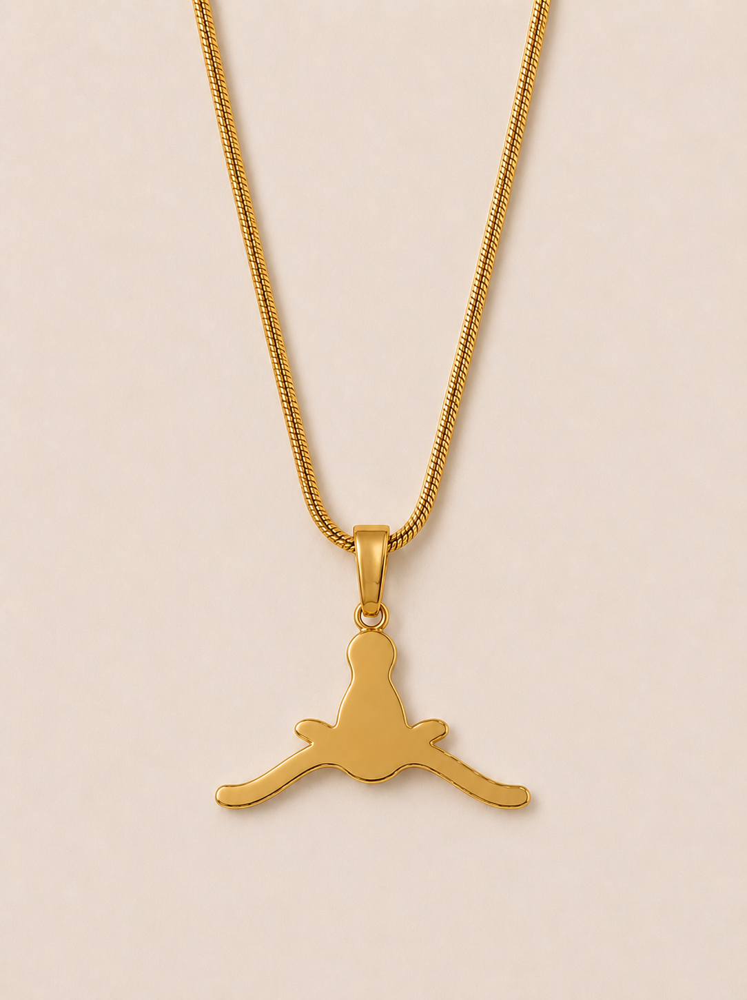 Horns Down Necklace – 18K Gold PVD Rope Chain